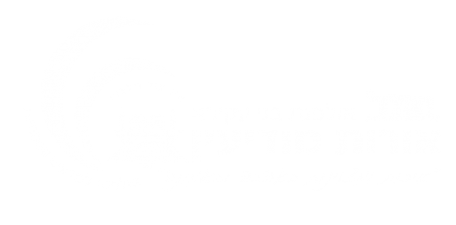 אולפנת בני עקיבא אורות מודיעין